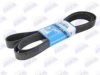 BTA B08-9PK2871 V-Ribbed Belts